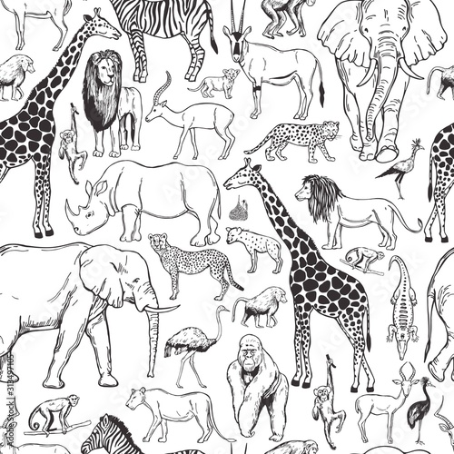 Hand drawn african animals and birds on white background. Vector seamless pattern.