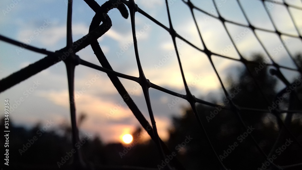 barbed wire fence barbed wire fence