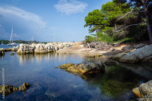 Saint-Honorat Beach, Lerins Islands, Cote d'Azur photo