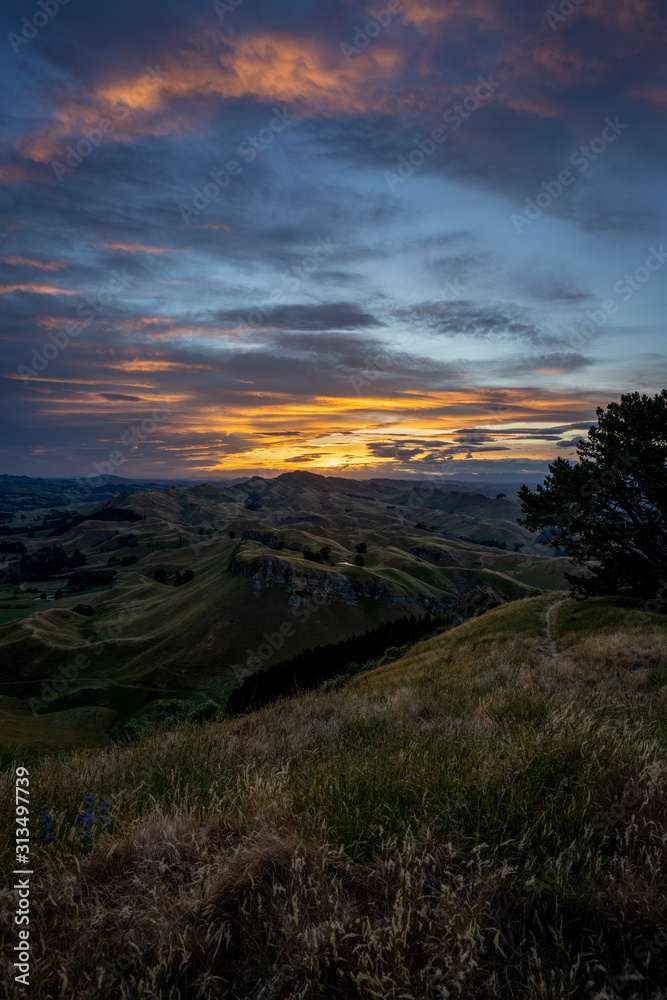 Amazing sunset at the top of the Te Mata Peak. Vertical photography. Hastings, Hawke's Bay. New Zealand.