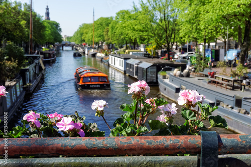 Photography Houseboats on Prinsengracht canal in Amsterdam, Netherlands