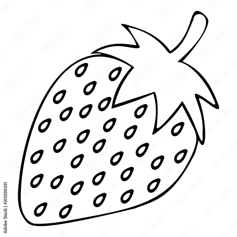 Juicy strawberries. Ripe berry with small seeds. Vector. Outline on an isolated background. Sketch. Doodle style. Coloring book. A healthy dessert full of vitamin C. Natural product. Juicy strawberries. Ripe berry with small seeds. Vector. Outline on an isolated background. Sketch. Doodle style. Coloring book. A healthy dessert full of vitamin C. Natural product.