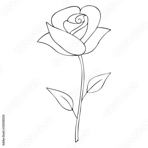 The rose blossomed. A fragrant flower. Vector. Colorless background. Coloring book for children. Illustration for Valentine day. Holiday sketch.