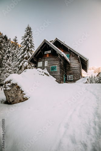 wooden house in winter forest in austria © Maximilian