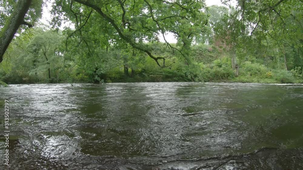 Dip under flooding river in forest to murky water below