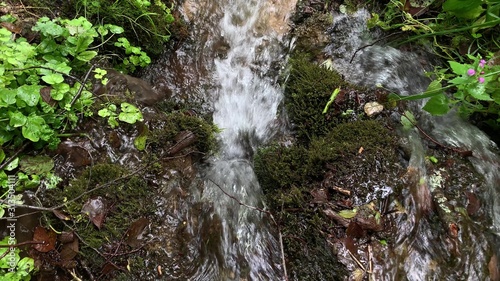 Natural mountain spring pouring from green grass and moss