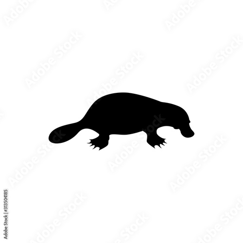 vector illustration of platypus