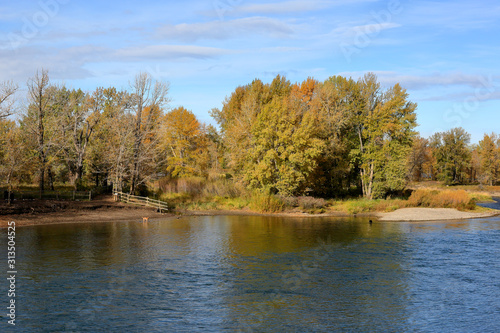 Wooded riverbank in autumn with trees in fall colors