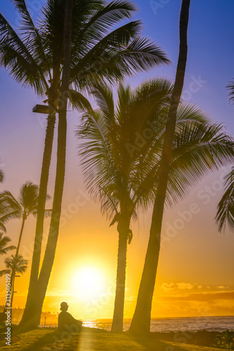 A silhouette watches the sunrise on Kauai  Hawaii.