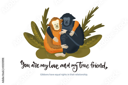Happy valentine day vector textured gibbon animal card in a flat style with quote and real facts about love. Romantic monkey illustration.
