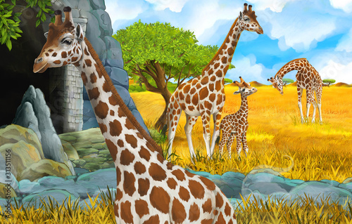 cartoon wildlife safari scene with lion and giraffe illustration for children