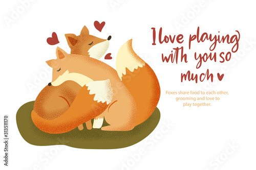 Happy valentine day vector textured foxes animal card in a flat style with quote and real facts about love. Romantic illustration. Fox hugs a friend and love to play.