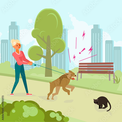 Dog attacks a black cat