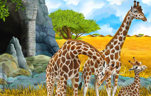 cartoon wildlife safari scene with lion and giraffe illustration for children