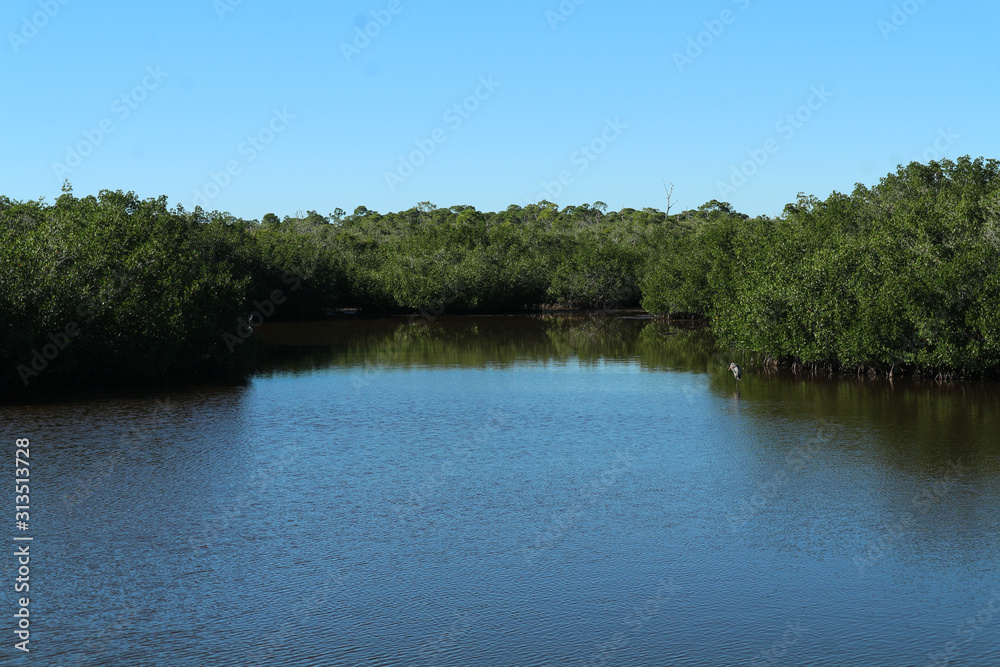 Florida waterway scenery with sunshine Florida waterway scenery with sunshine
