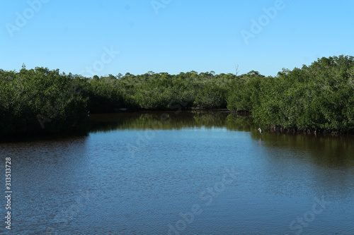 Florida waterway scenery with sunshine