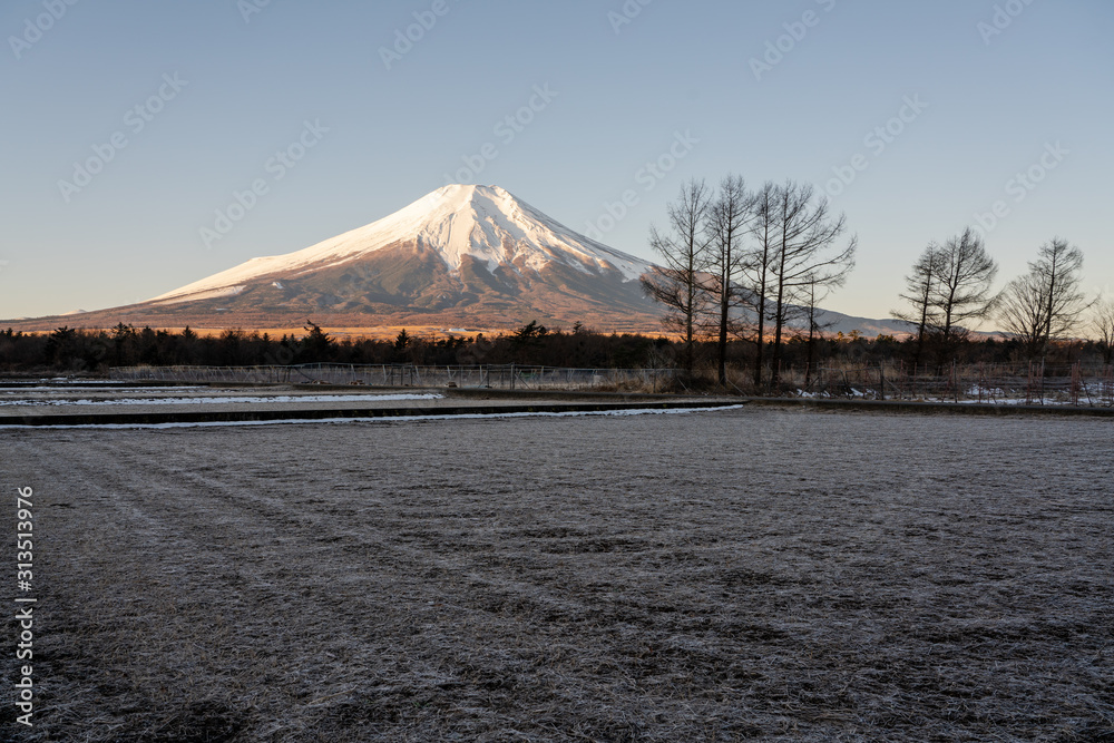 山中湖村からの富士山  / Mount Fuji