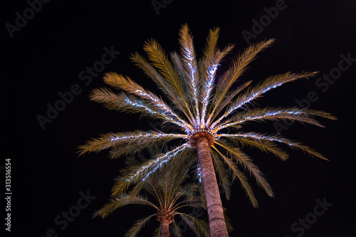 Beleuchtetet Palme an Weihanchten auf Mallorca, Spanien