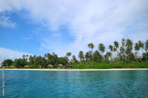 tropical island in the ocean © Ronny sefria