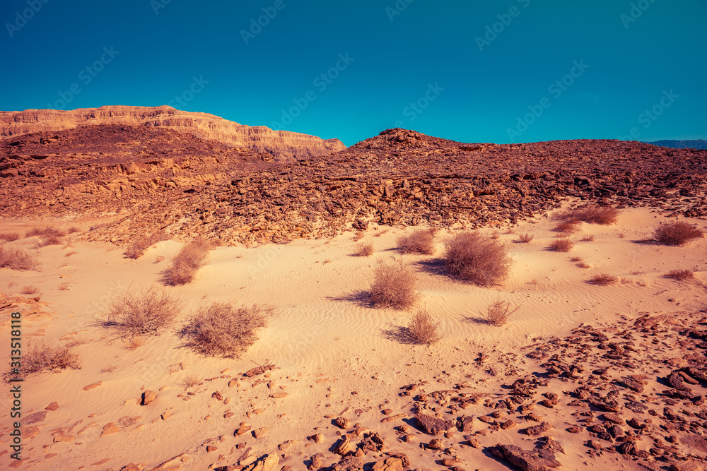 Fototapeta premium Desert nature landscape. Sandstone rocks in Timna park, Israel