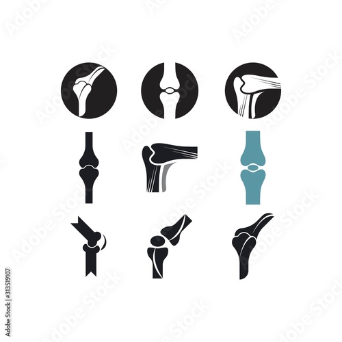 Bone human medical