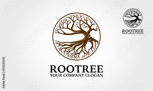 Root Tree Logo Template Features. The logo a tree depicts as growth symbol, strength, ecology. This logo is modern, clean and simple.