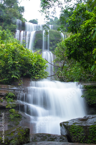 waterfall in forest