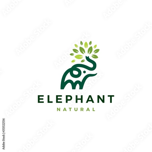 elephant leaf leaves tree logo vector icon illustration