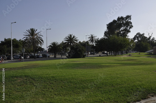 Park and palm trees on a sunny day