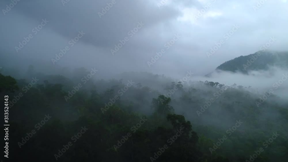 Flying above a jungle with clouds and mist Flying above a jungle with clouds and mist