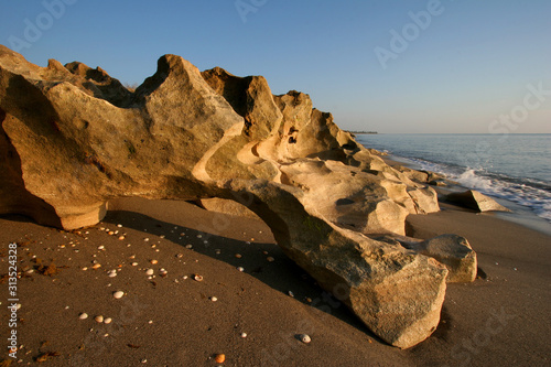 Anastasia limestone outcropping in Blowing Rocks Preserve on Jupiter Island, Florida on clear cloudless morning at low tide.