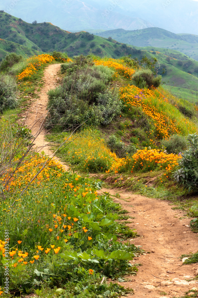 Hiking trail in the hills of Chino Hills State Park in Southern