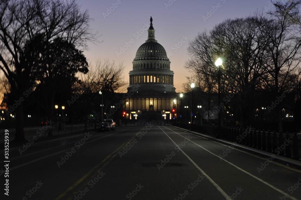 View of Capitol Hill in Washington DC