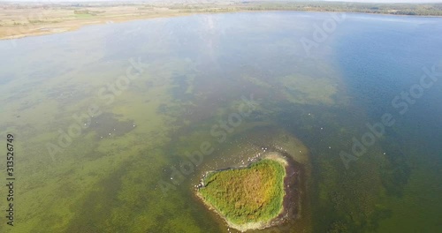 The stunning small island life in the green, mossy waters of Luknajno Lake in Poland with the landscape in the background - Aerial shot photo