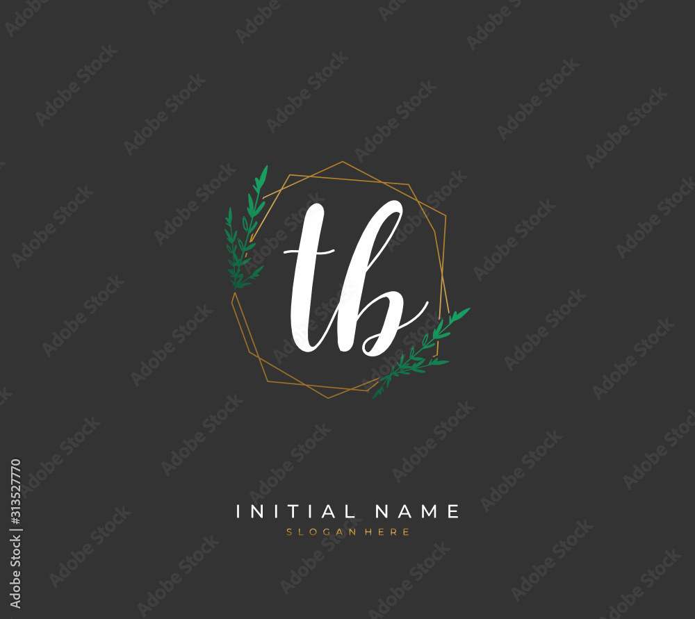 Handwritten initial letter T B TB for identity and logo. Vector logo template with handwriting and signature style. Handwritten initial letter T B TB for identity and logo. Vector logo template with handwriting and signature style.