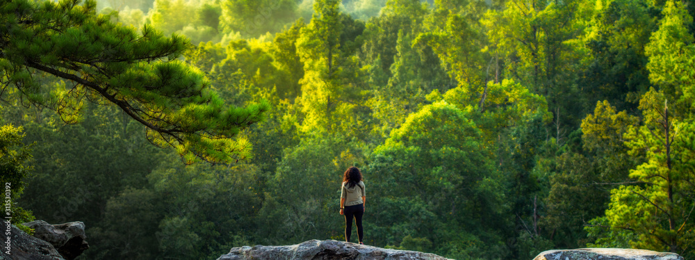 A young female hiker takes a break to enjoy a forest view. - obrazy, fototapety, plakaty 