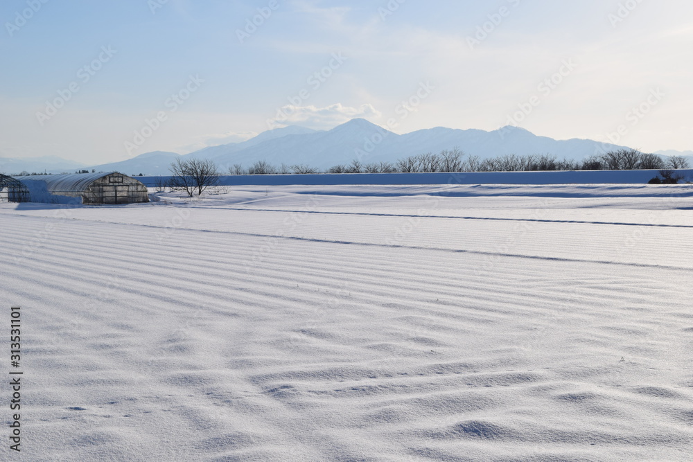 山形県庄内地方の雪景色