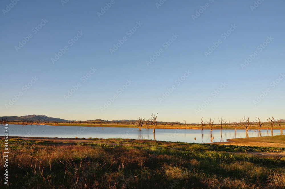 Reflection of trees in Lake Hume, Australia