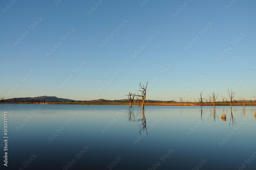 Reflections of trees on a still lake