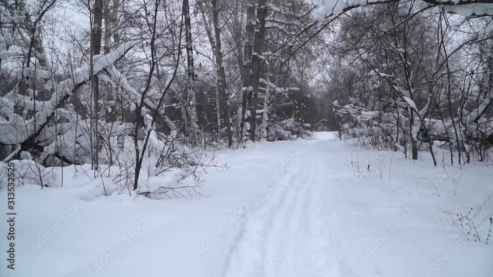 ski trip in a snow-covered Park ski trip in a snow-covered Park
