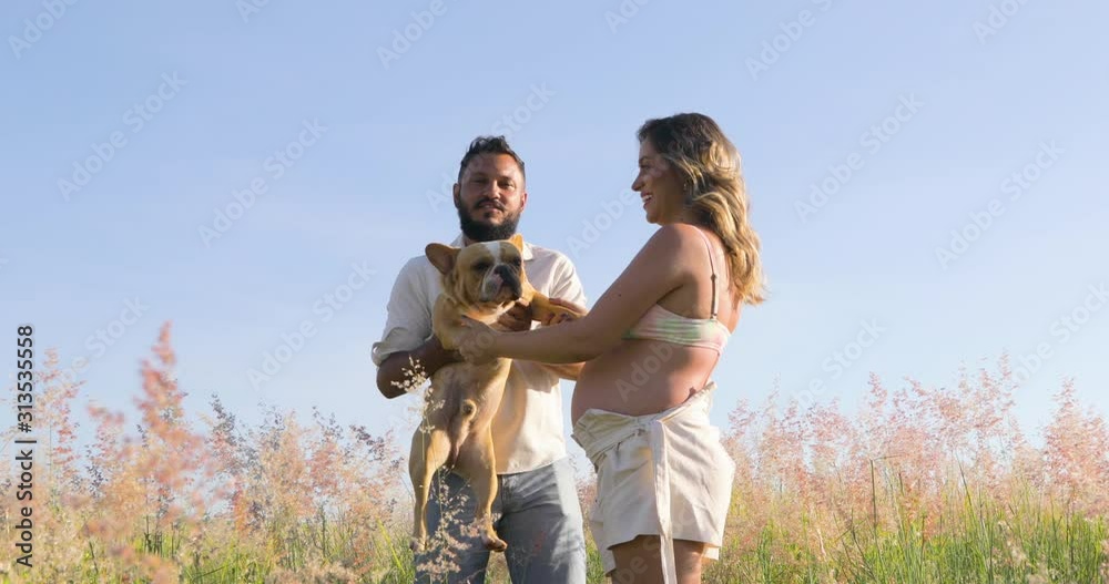 Couple Waiting for their first baby, playing with their pet, a french bulldog dog, happy family. Couple Waiting for their first baby, playing with their pet, a french bulldog dog, happy family.