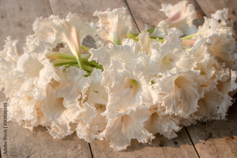 Beautiful,Sesbania grandiflora Beautiful,Sesbania grandiflora