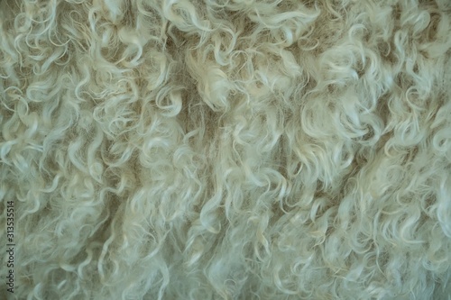 Close-up of fur on a angora goat