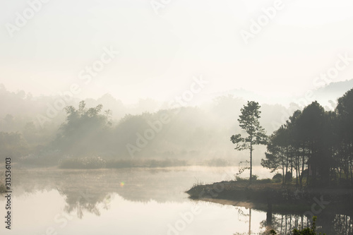 Morning sun shines through the fog and Trees over water.