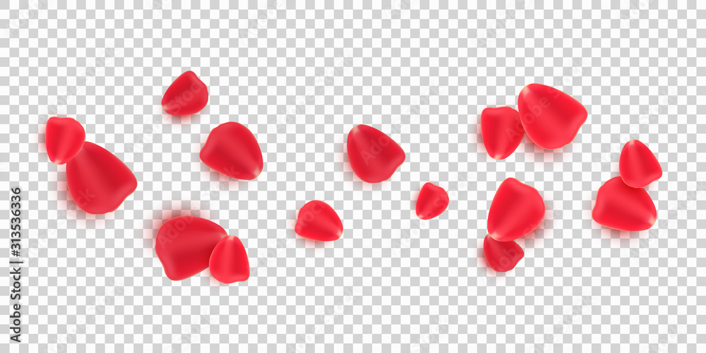 Scattered red rose petals isolated on transparent background. Valentine's Day. Romantic flowers for Valentine's Day or wedding. Vector illustration