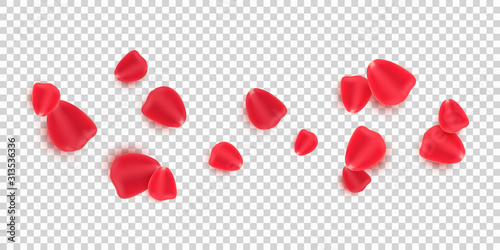 Scattered red rose petals isolated on transparent background. Valentine's Day. Romantic flowers for Valentine's Day or wedding. Vector illustration