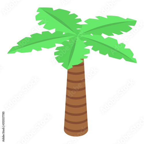 Palm tree icon. Isometric of palm tree vector icon for web design isolated on white background