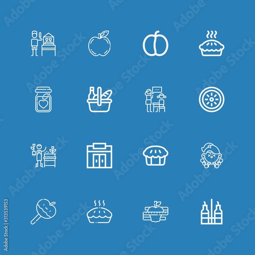 Editable 16 apple icons for web and mobile