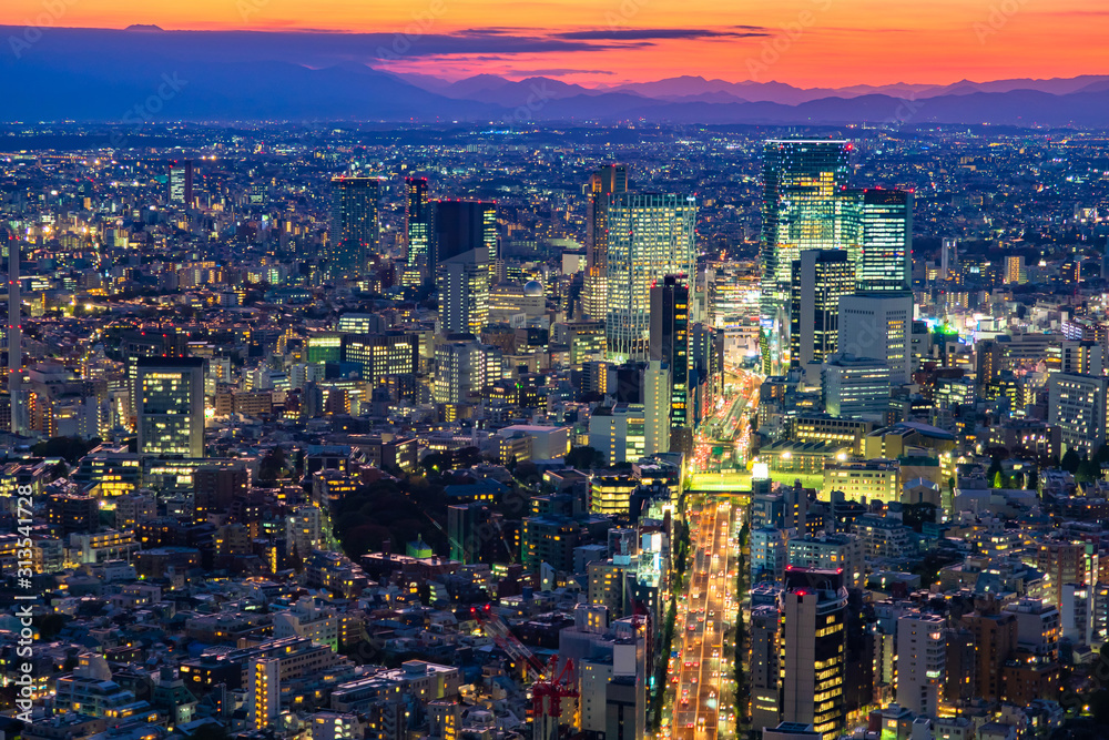Japan. Evening Tokyo against the mountains. Late evening in the capital of Japan. The lights of Tokyo and the sunset. Top view of Tokyo evening. Cities of Japan. East Asia.