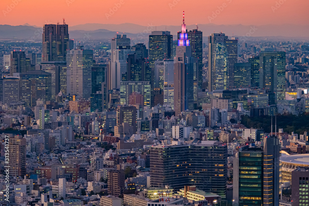 Japan. Tokyo in the evening. Panorama of Tokyo from a height. The business center of Tokyo. Skyscrapers in the center of the Japanese capital. Glowing fragment of a skyscraper.